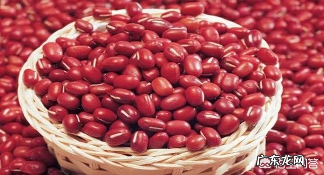 5月20日,是“小满”节气,饮食上吃点啥好?如何养生?