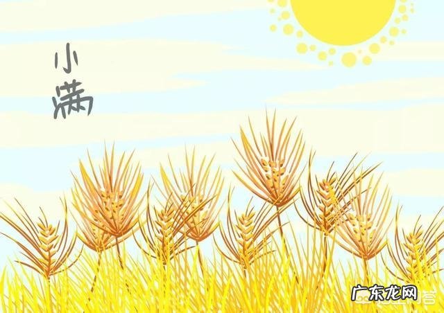5月20日,是“小满”节气,饮食上吃点啥好?如何养生?