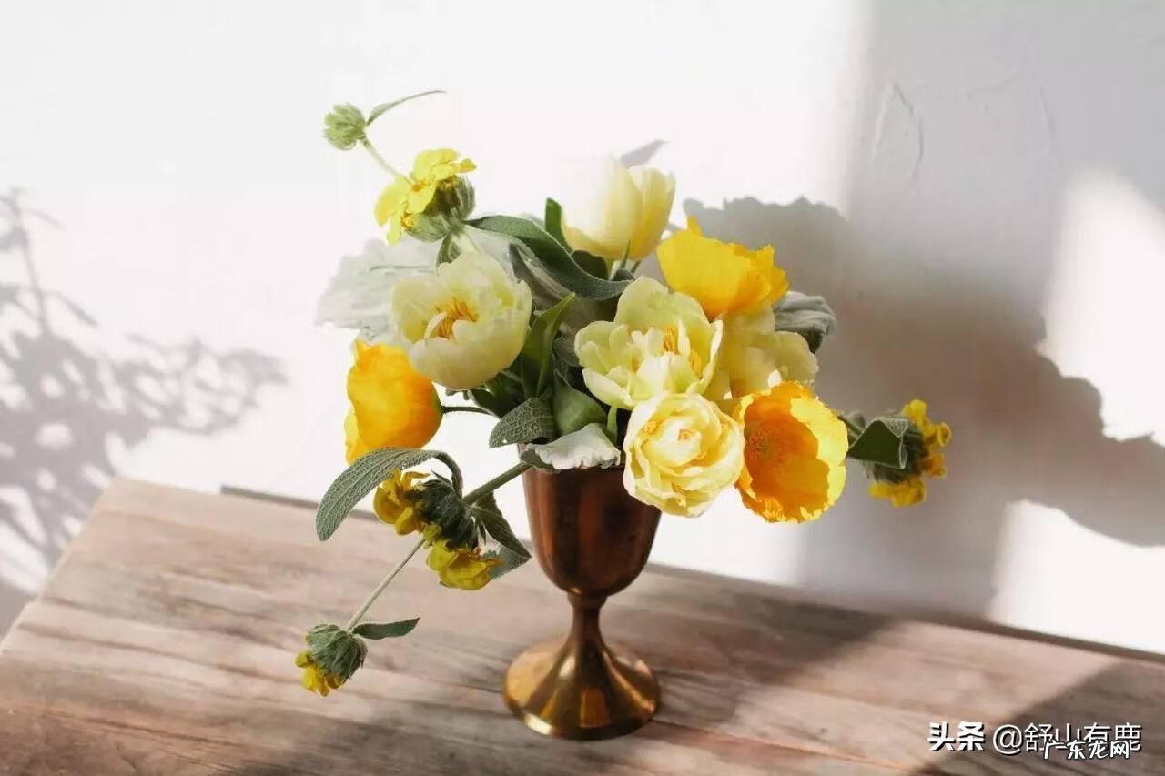 风水文案 关于风水的文案