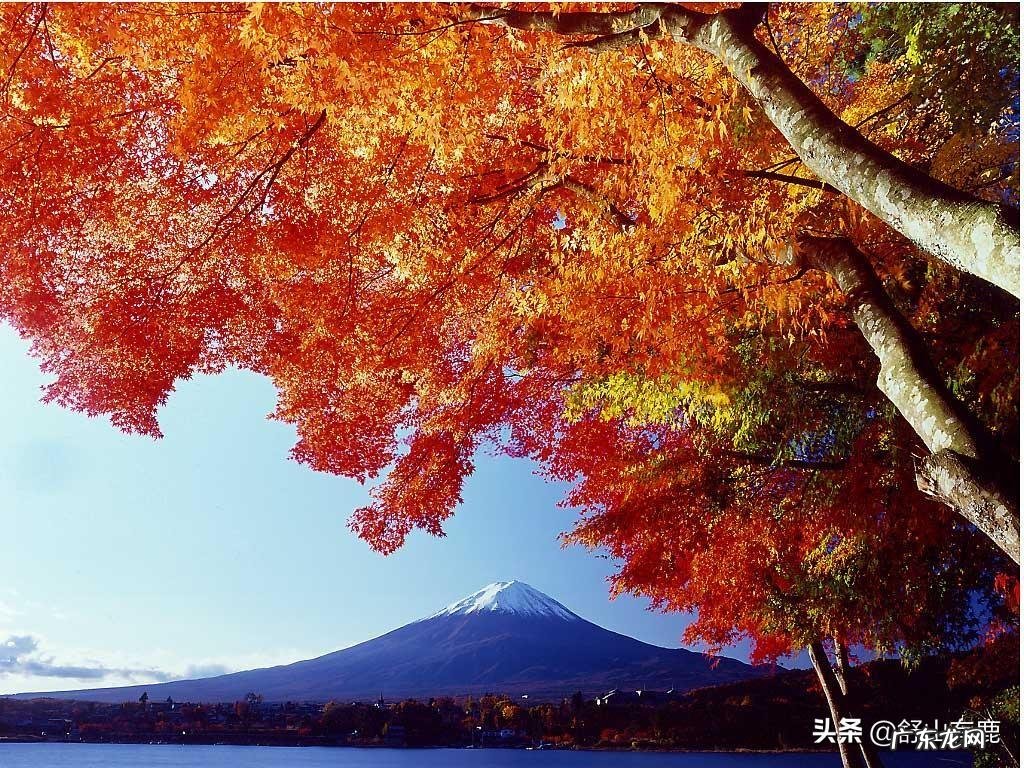 风水文案 关于风水的文案