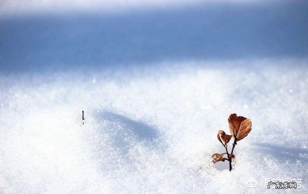 如何合理控制自己的不良欲望？