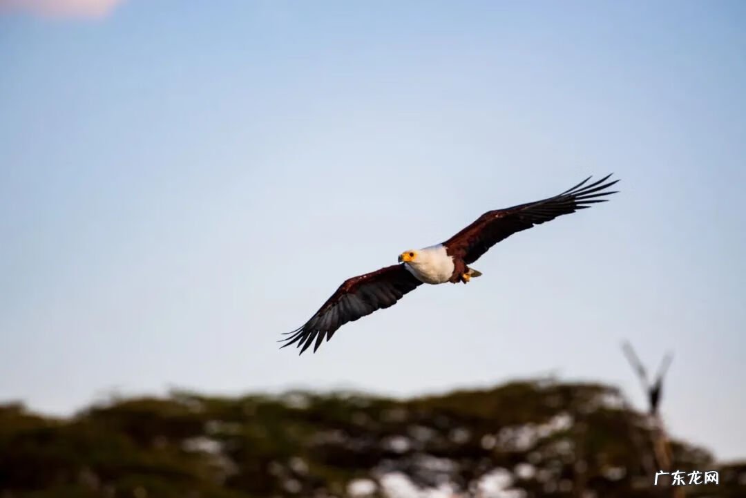 风水财运对联 形容风水师的对联