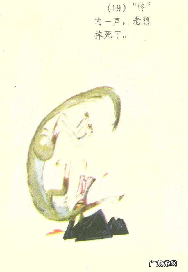 小白兔图片高清图片 小白兔图片彩色