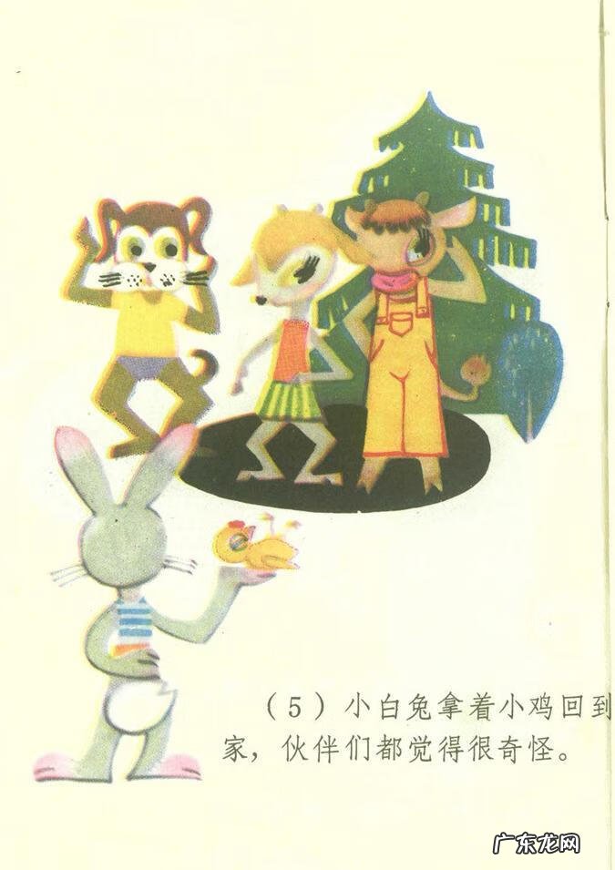 小白兔图片高清图片 小白兔图片彩色