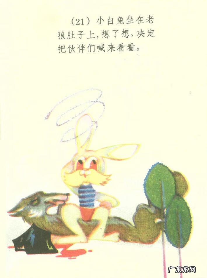 小白兔图片高清图片 小白兔图片彩色