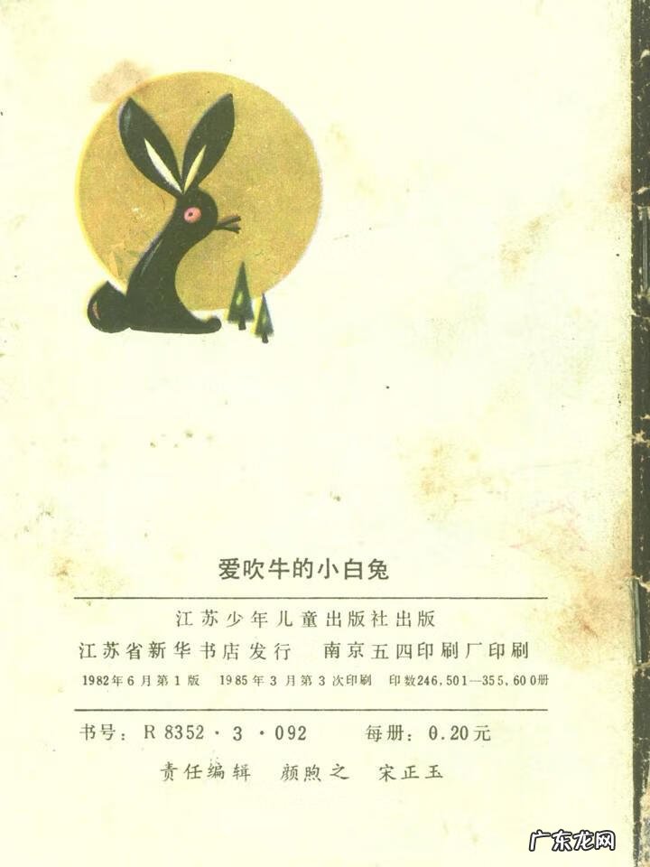 小白兔图片高清图片 小白兔图片彩色