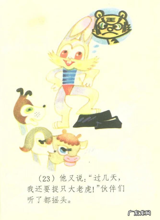 小白兔图片高清图片 小白兔图片彩色