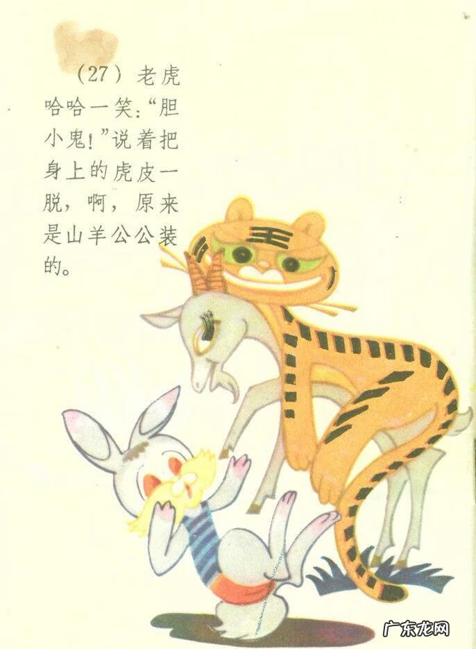 小白兔图片高清图片 小白兔图片彩色