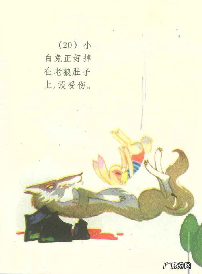 小白兔图片高清图片 小白兔图片彩色