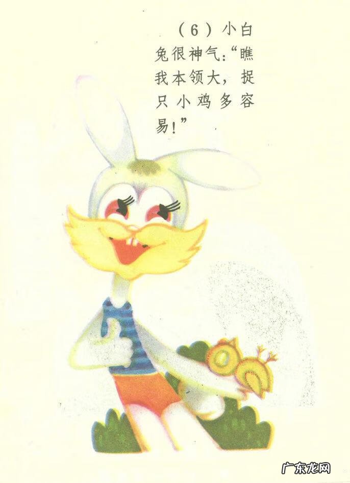 小白兔图片高清图片 小白兔图片彩色