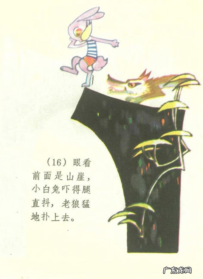 小白兔图片高清图片 小白兔图片彩色