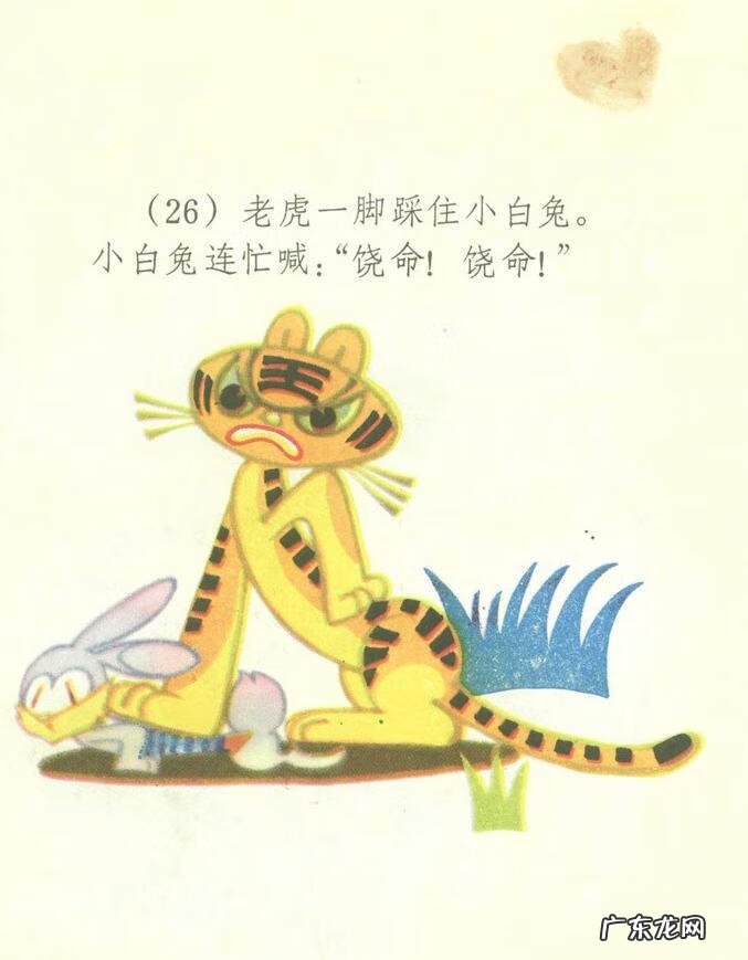 小白兔图片高清图片 小白兔图片彩色