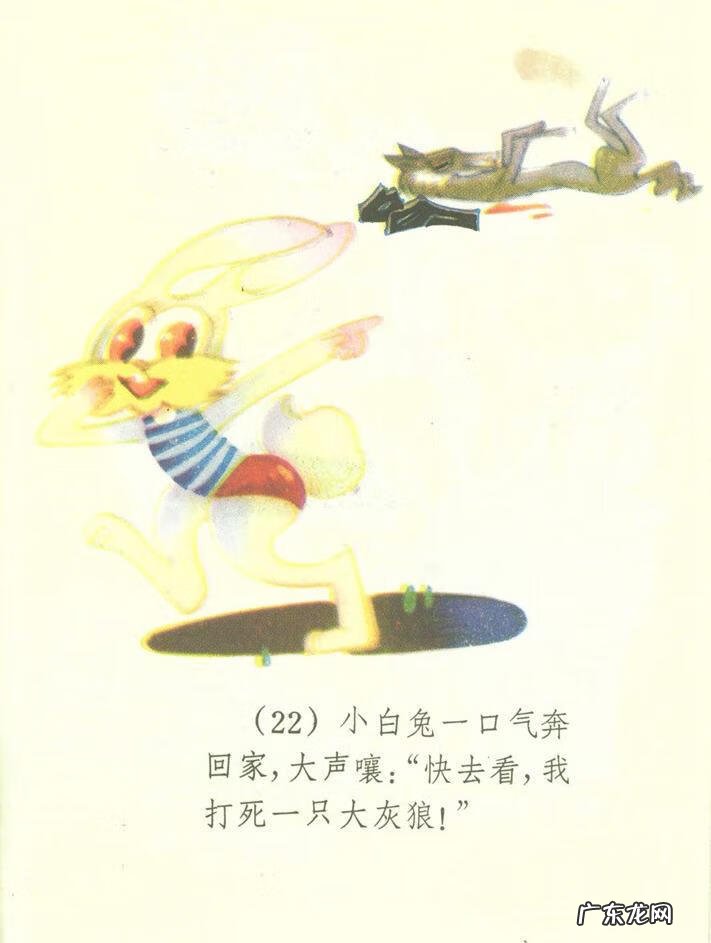 小白兔图片高清图片 小白兔图片彩色