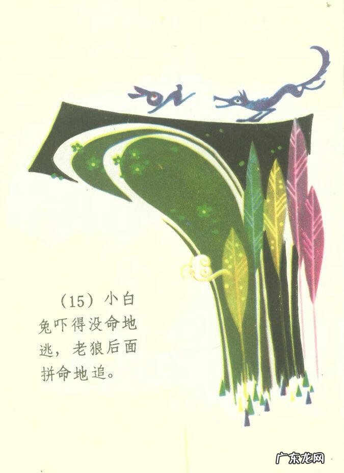 小白兔图片高清图片 小白兔图片彩色