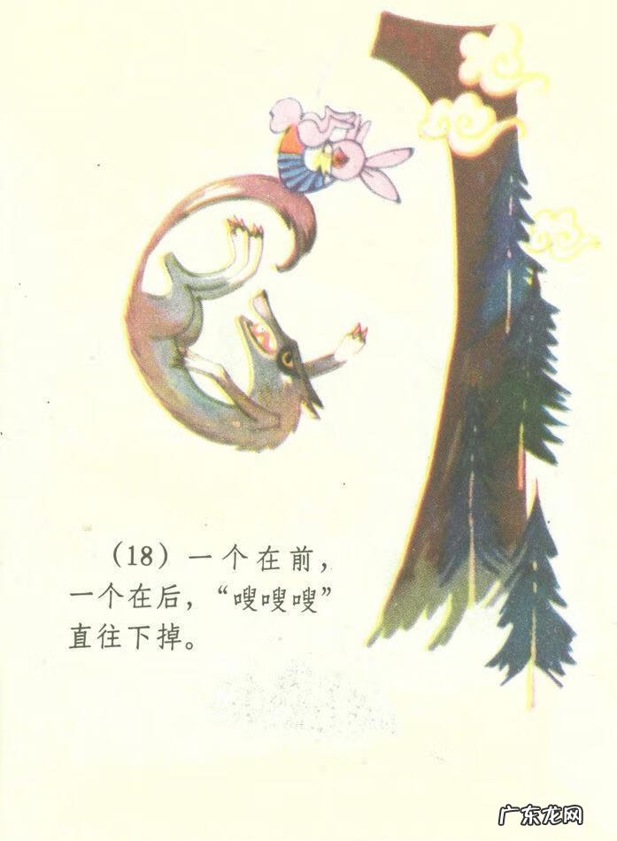 小白兔图片高清图片 小白兔图片彩色