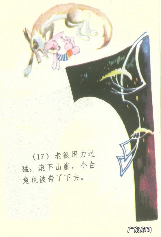 小白兔图片高清图片 小白兔图片彩色