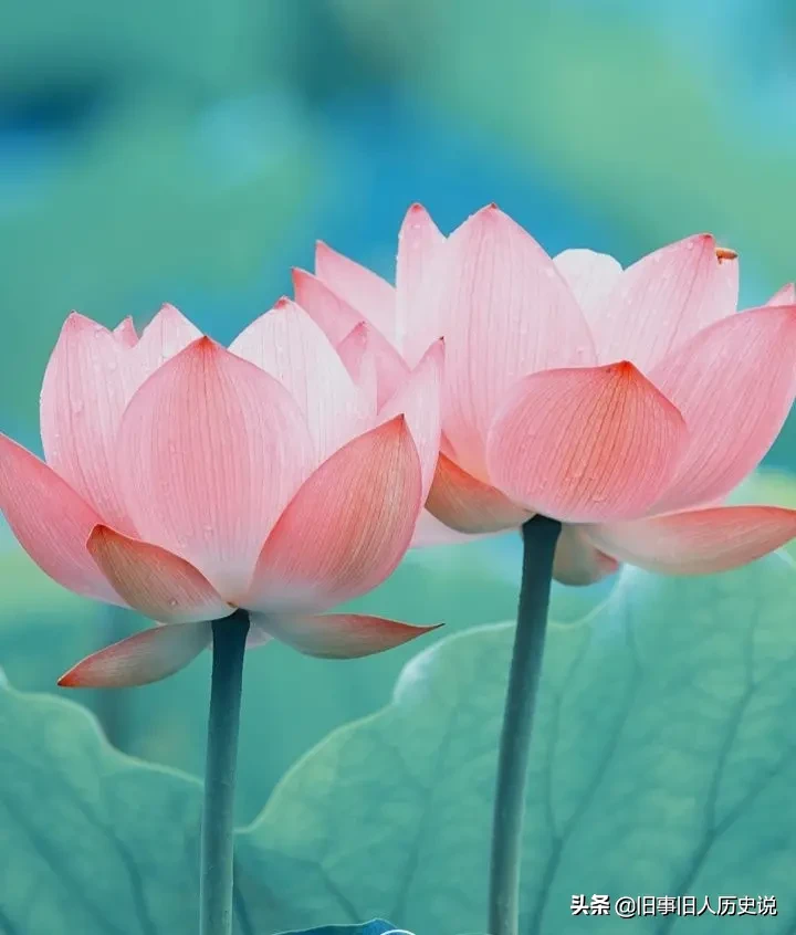 古代四大美女,真的就是当世美女么?