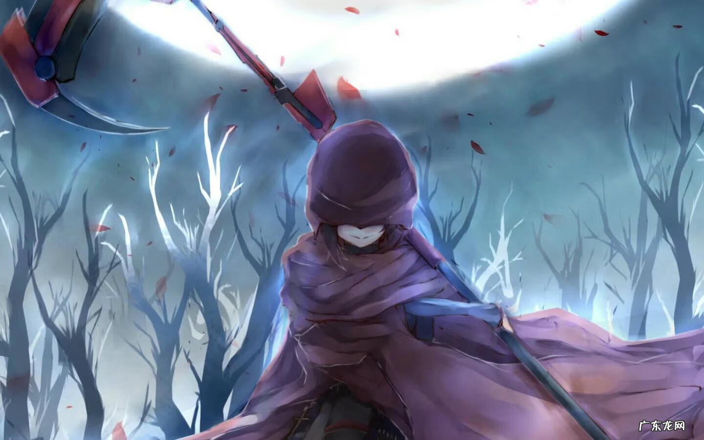 网游之神话传说 网游之命运之子小说