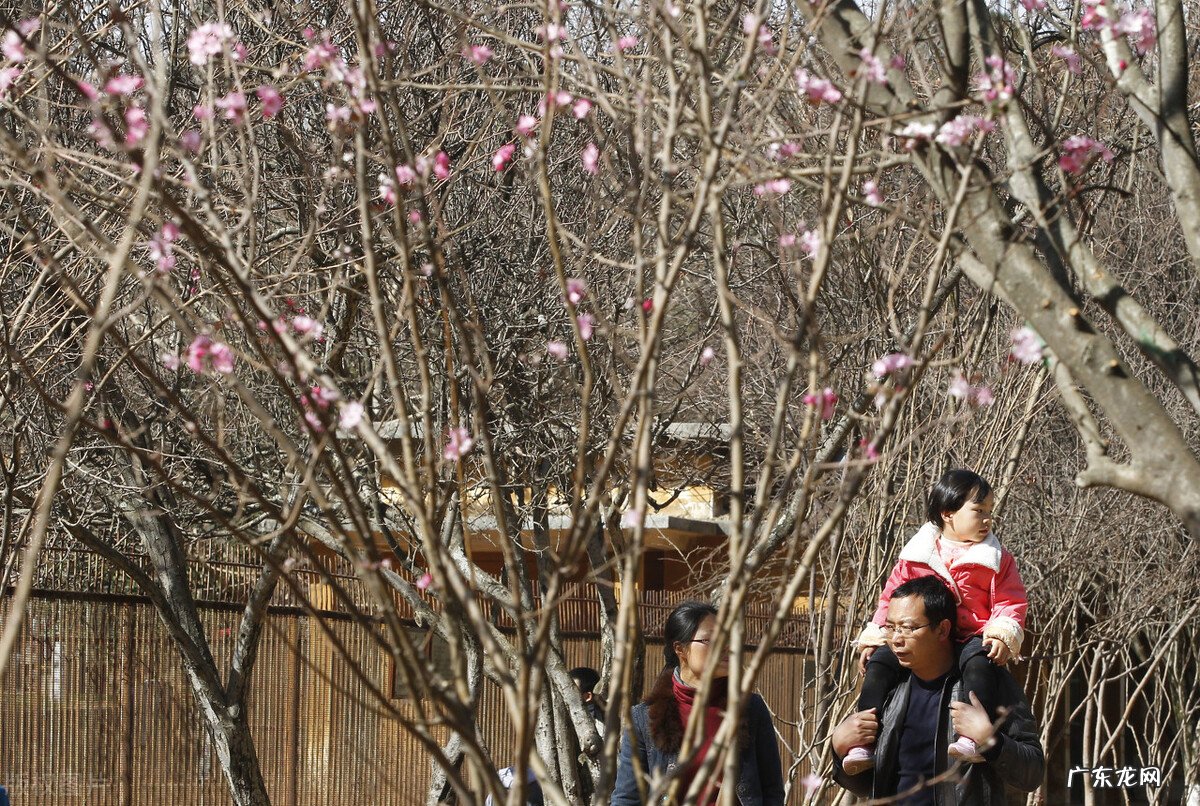 大年初四和立春同一天,“立春接五路,有雨财不空”,什么意思?