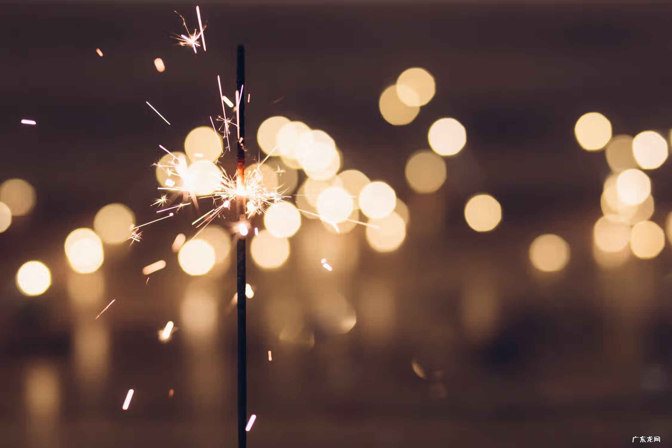 雅思考试学习计划 雅思复习计划