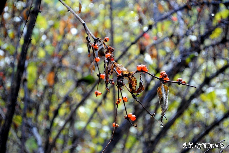 如何知道自己患上了抑郁症，有什么自测方法？
