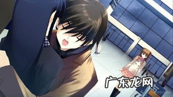 NTR什么意思 nt是什么网络用语