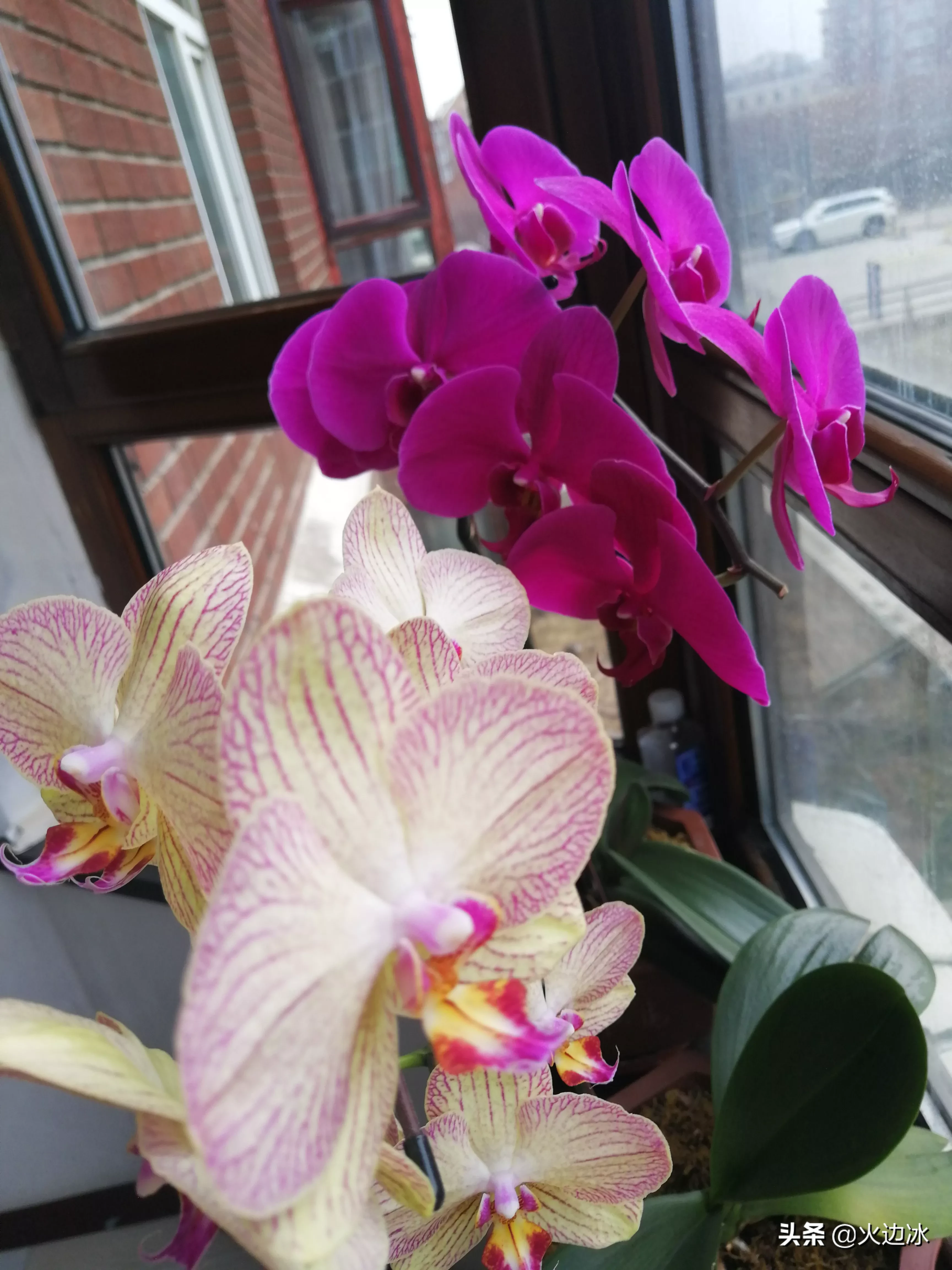 为什么有些人心机那么重?