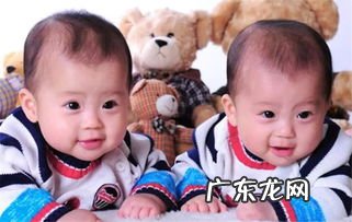 双胞胎英文怎么写? 男生双胞胎英文怎么说