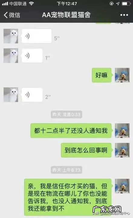 交易猫卖家被申诉 12315可以投诉交易猫吗