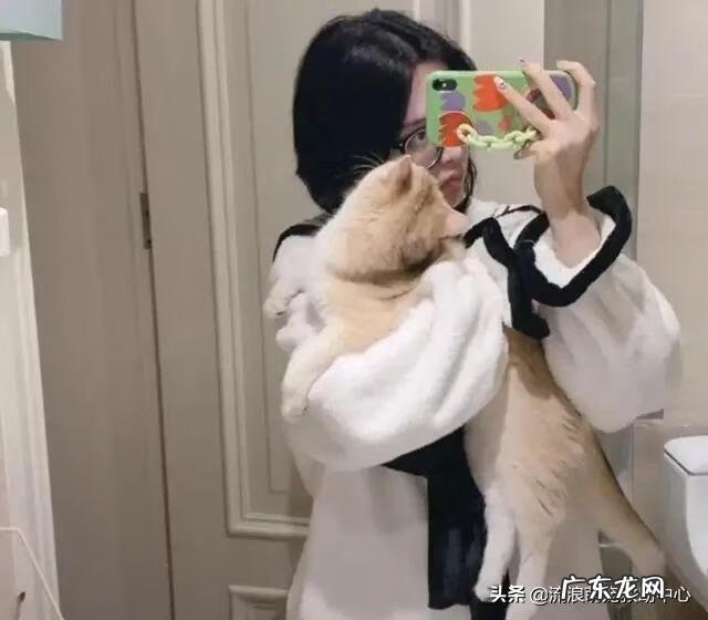 交易猫卖家被申诉 12315可以投诉交易猫吗