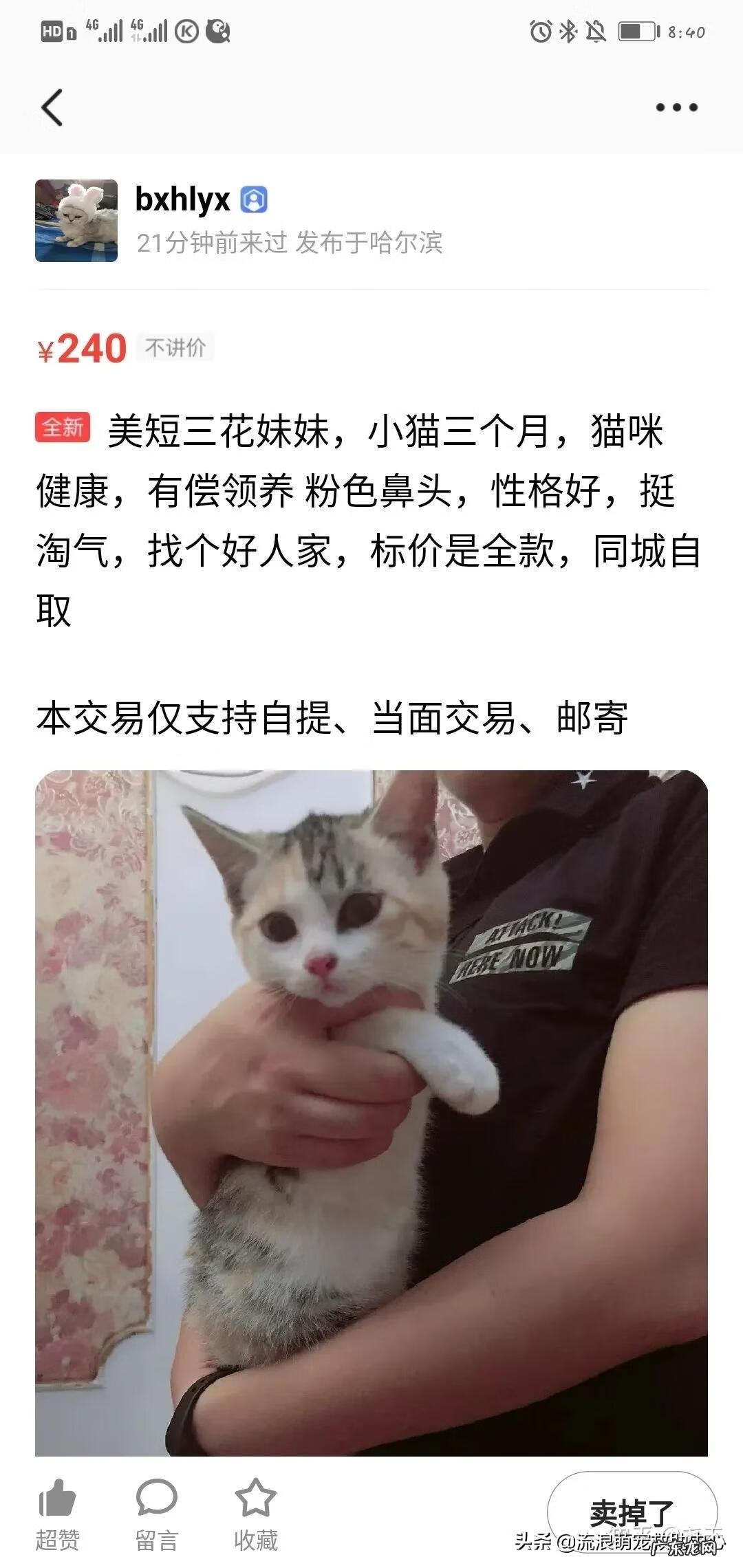 交易猫卖家被申诉 12315可以投诉交易猫吗