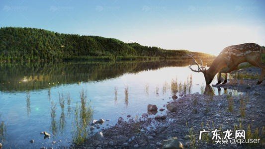 一头小鹿早上喝了2升水,是全天饮水量的5分之2,这头小鹿一天喝多少升水?