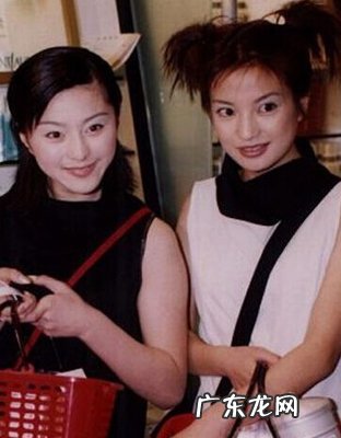 李冰冰与范冰冰谁更红 范冰冰赵薇谁更红了