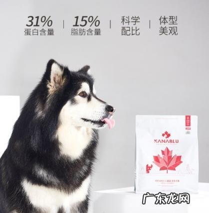 蓝氏狗粮怎么样 嘉蓝猫粮怎么样