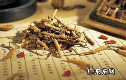 老祖宗留下的十大禁忌 老祖宗留下的十大禁忌小说