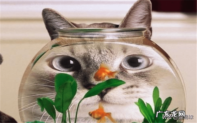 被水淋了头会怎么样 风水中淋头水能不能改