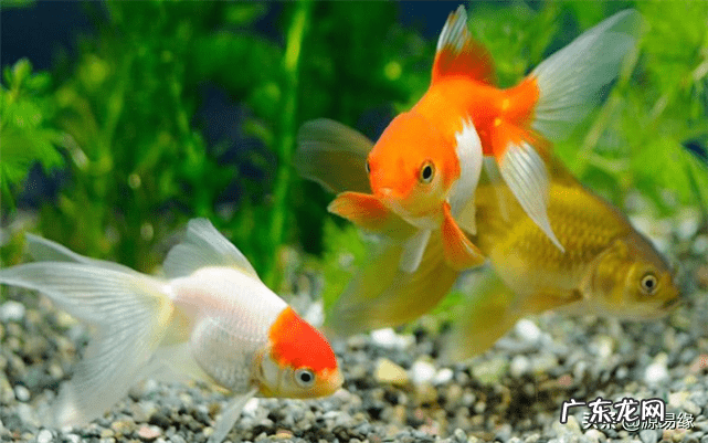 被水淋了头会怎么样 风水中淋头水能不能改