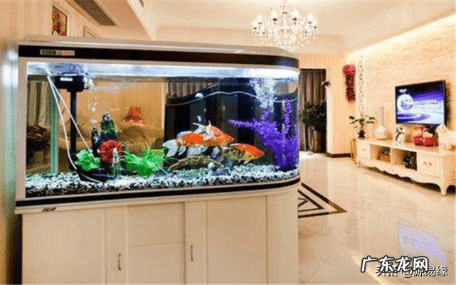 被水淋了头会怎么样 风水中淋头水能不能改