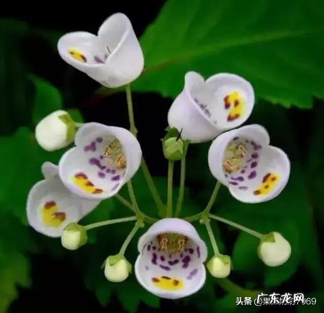 如果再给你一次选择的机会,你是选择你爱的人还是选择爱你的人?