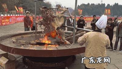 5吨重的大象都被吃,为什么很少有猛兽猎杀骆驼,它有什么保命绝招?-