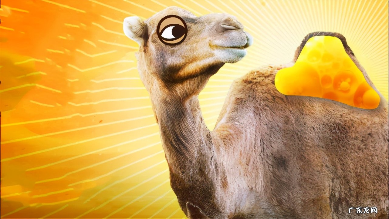 5吨重的大象都被吃，为什么很少有猛兽猎杀骆驼，它有什么保命绝招？-