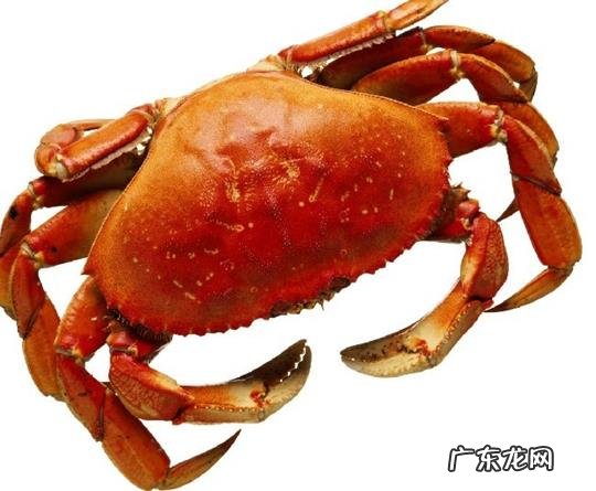 哪三种螃蟹不能吃?
