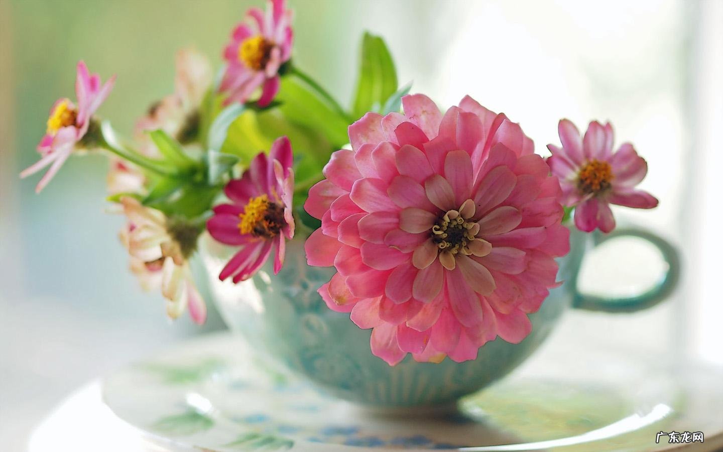 女人味最浓的生肖女有哪些？