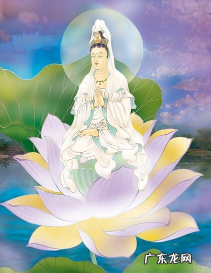 罗汉松风水学和寓意 各色水晶观音的风水学寓意