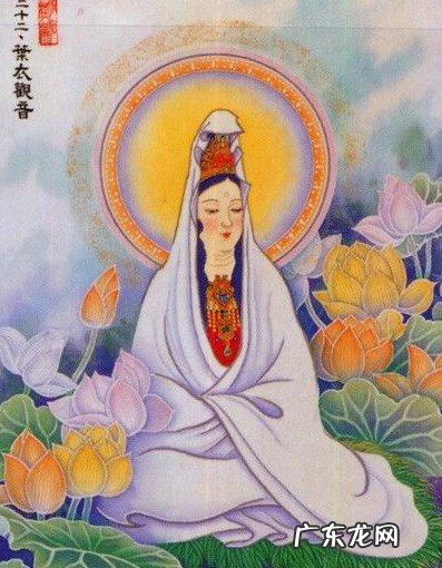 罗汉松风水学和寓意 各色水晶观音的风水学寓意