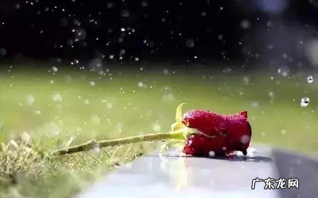 你相信有前世吗?