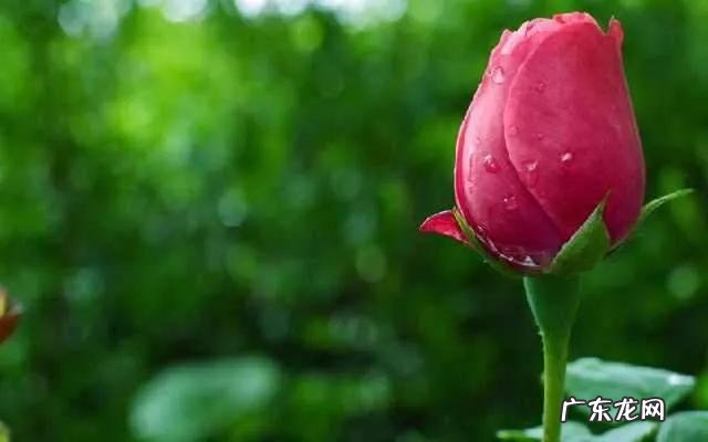 你相信有前世吗?