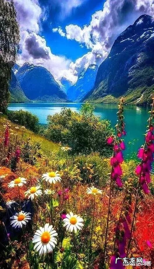 什么样的春节情景最难忘？