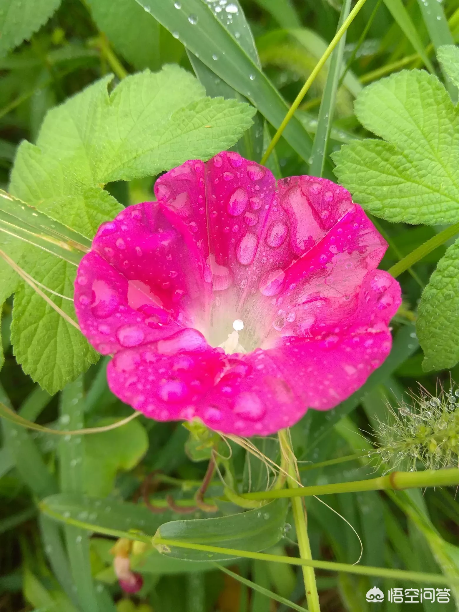 刚做完流产吃什么好？