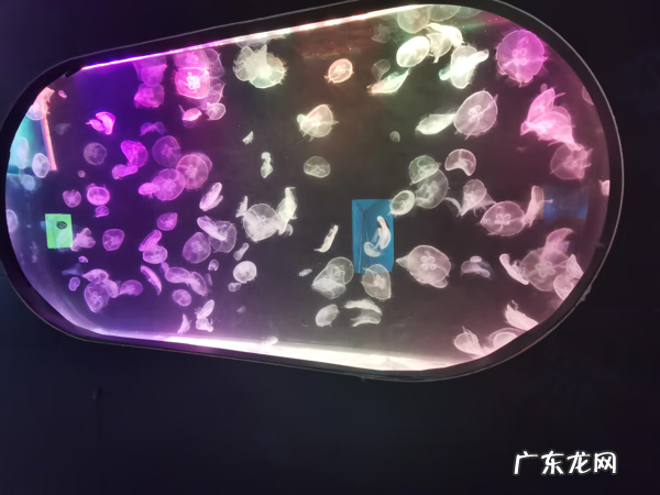 广州正佳广场好玩吗 正佳广场位置